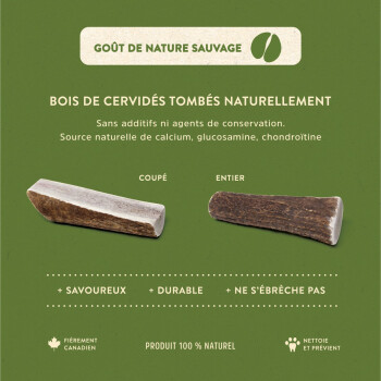 Demi Bois de Cervidé Naturel - Dentler