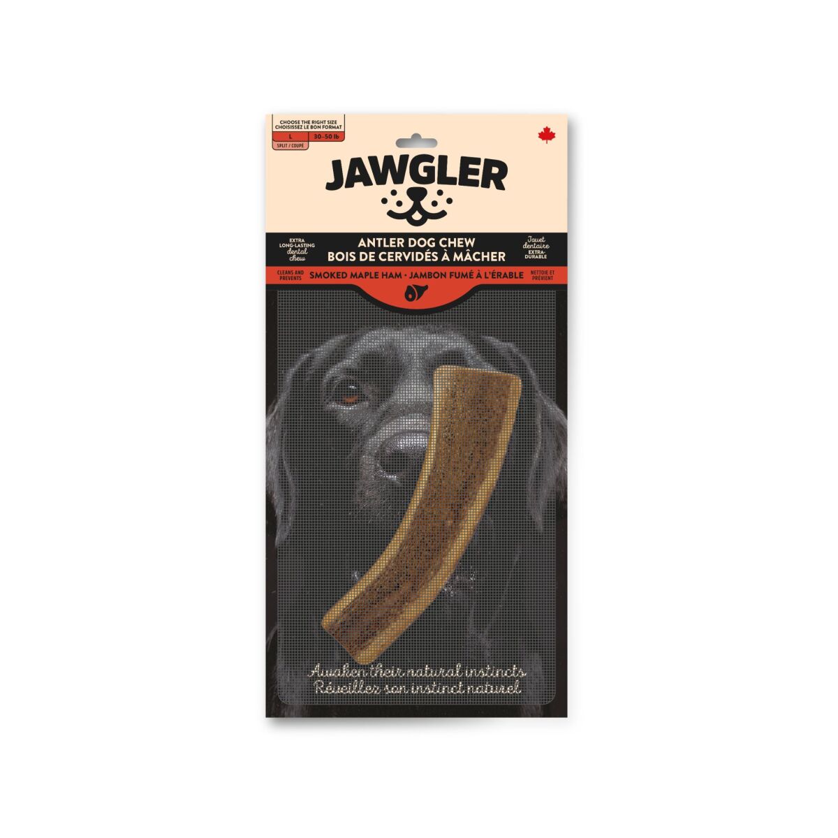 Dt16107 - Demi bois de cervidés fumé au jambon et à l'érable pour chiens - Jawgler