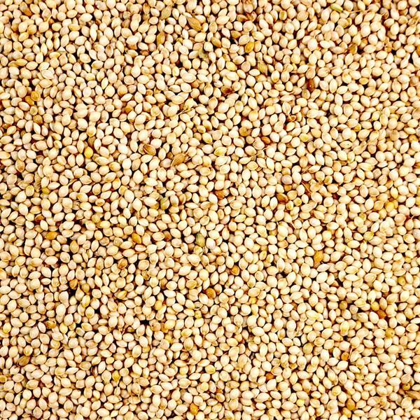 81514 - Millet blanc pour oiseaux sauvages