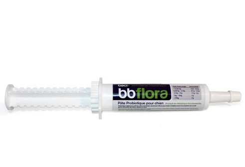 Y28849 - Bb Flora probiotiques en pâte pour chiens - Baci+