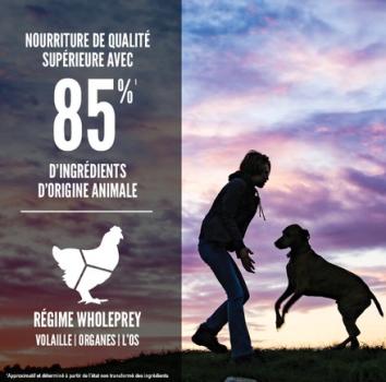 Nourriture sans grains chiot grande race - ORIJEN