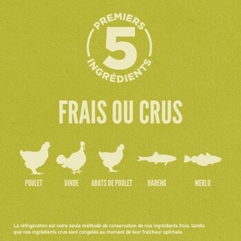 Nourriture sans grains pour chiens Senior – ORIJEN