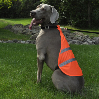 Dossard à Bandes Réfléchissantes Orange pour Chien- Coastal Pet 