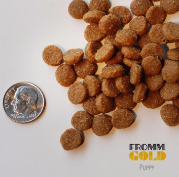 Nourriture pour chiots - Fromm Gold