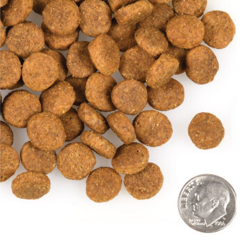 Nourriture pour chiens de grandes races sans grains - Fromm Heartland Gold