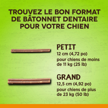 Bâtonnets antioxydants arôme de cannelle pour chiens - Zoë