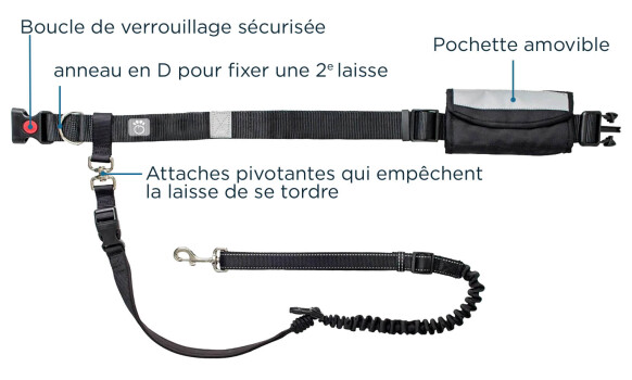 Kit Ceinture et Laisse pour Chiens - Go Fresh Pet