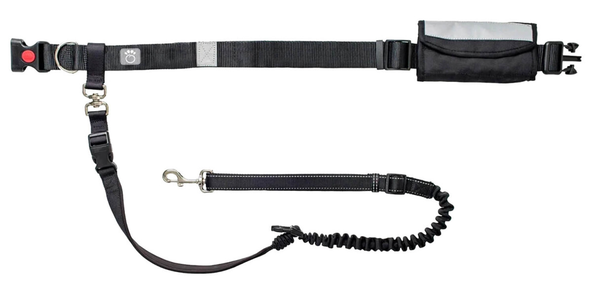 Rm35044 - Kit Ceinture et Laisse pour Chiens - Go Fresh Pet