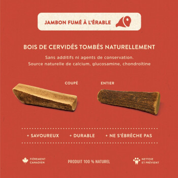 Demi Bois de Cervidé Saveur de Jambon à l'Érable Petit - Dentler