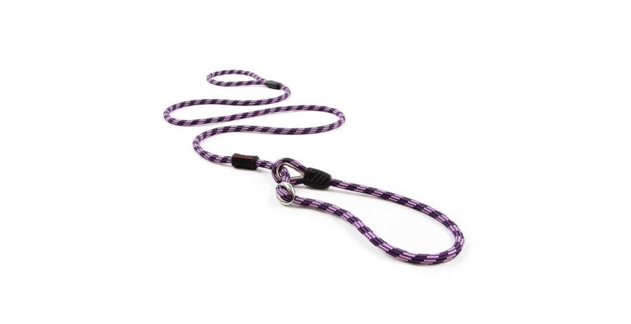 Ed10214 - Laisse Luca pour Chiens Mauve - EzyDog