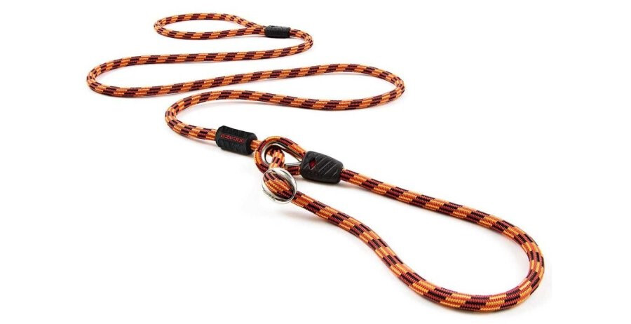 Ed10217 - Laisse Luca Mince pour Chiens Orange - EzyDog