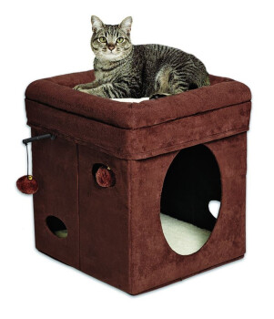 Cube pour Chat Curious Cat Brun - Feline Nuvo