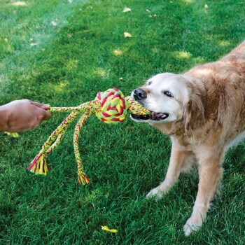 Jouet pour Chiens Kong Wubba Weaves avec Corde – Kong