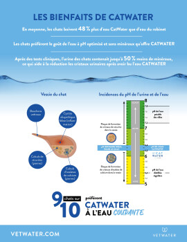 Eau Formule Urinaire pour Chats 4 Litres - Cat Water