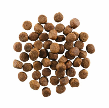Nourriture pour chiens sans grains saumon et morue - Go! Carnivore