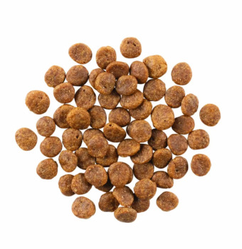 Nourriture sans grains à la venaison à ingrédients limités pour chiens - Go ! Sensitivities