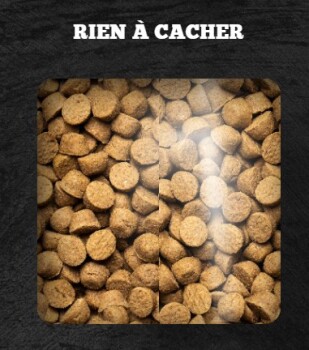 Nourriture pour chats sans grains soin préventif urinaire - Oven-Baked Tradition