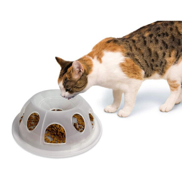 Bol Modérateur Tiger Diner en Plastique pour Chats - Pionner Pet