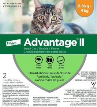 Gouttes anti-puces Advantage II pour chats de 2.3 kg à 4 kg - Elanco