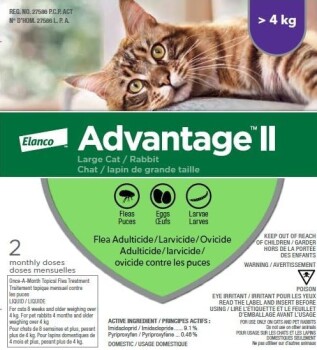 Gouttes anti-puces Advantage II pour chats de 4 kg et plus - Elanco