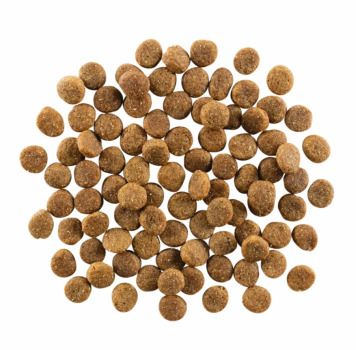 Nourriture pour chiens à la dinde - Go ! Skin + Coat Care