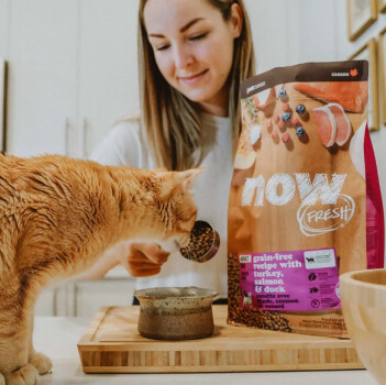 Nourriture pour chats adultes sans grains - Now Fresh