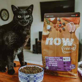Nourriture pour chats séniors sans grains - Now Fresh