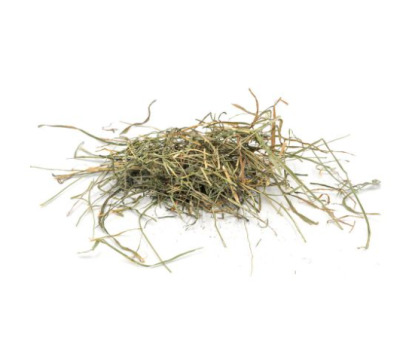 Boîte de Foin Mélange de 4 graminées pour Rongeurs - Les Petits Maxiel