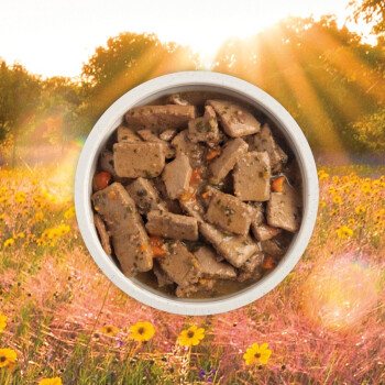 Nourriture en boîte recette au boeuf avec bouillon d'os pour chiens - ACANA
