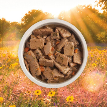 Nourriture en boîte recette à l'agneau avec bouillon d'os pour chiens - ACANA