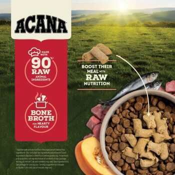 Nourriture lyophilisée au boeuf en morceaux pour chiens - ACANA
