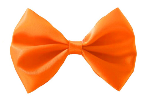 Noeud Papillon Orange pour Animaux - AnimObouffe
