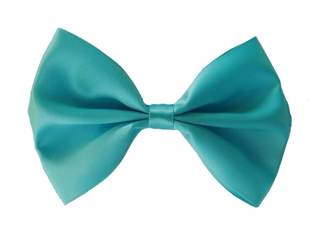 Ax30955 - Noeud Papillon Turquoise pour Animaux - AnimObouffe
