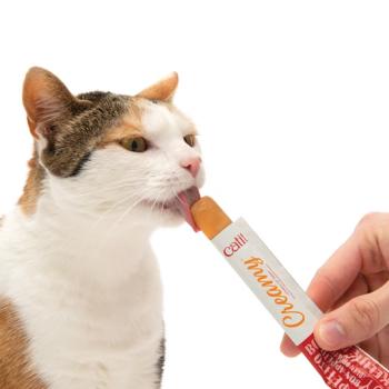 Collation pour chats régal crémeux au poulet et crevette - Catit