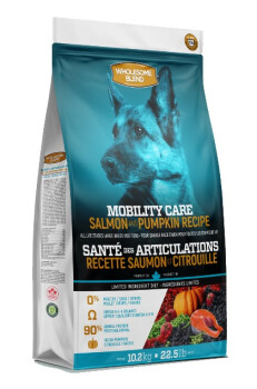 Nourriture pour chiens santé des articulations au saumon - Wholesome Blend