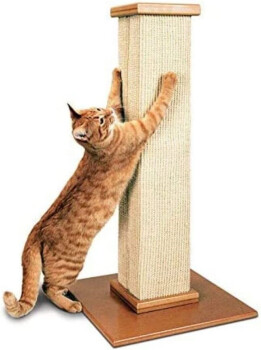 Grattoir poteau pour chats - Smart Cat 