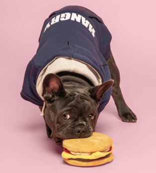 Peluche Big Fab Cheeseburger pour chiens - Fabdog 