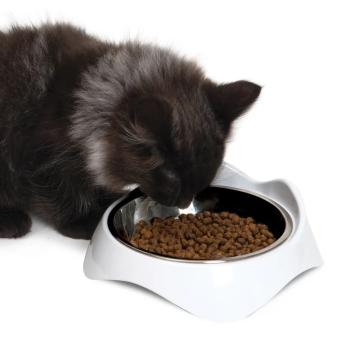 Bol simple de nourrissage en acier inoxydable PIXI pour chats - Catit