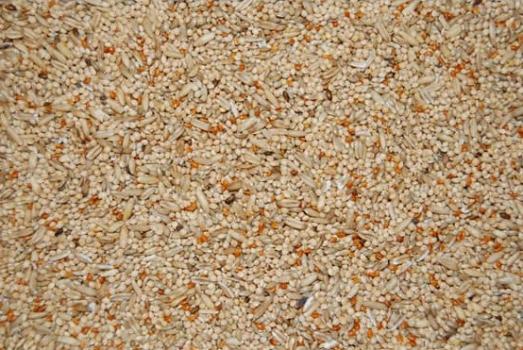 Nourriture Economax pour perruches - Zoo-Max