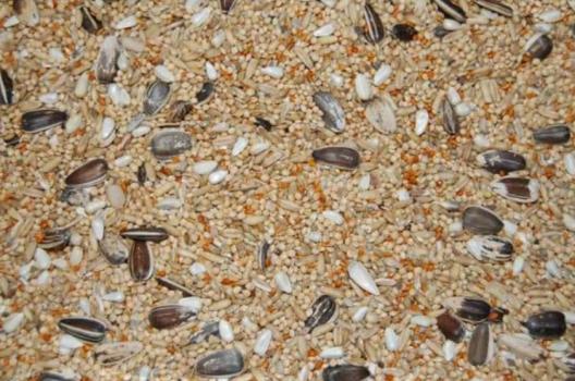 Nourriture Economax pour cockatiels et inséparables - Zoo-Max