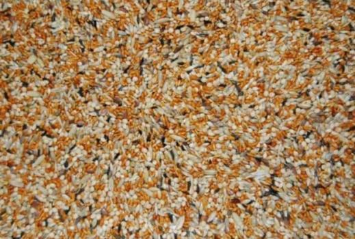 Nourriture pour pinsons Economax - Zoo-Max