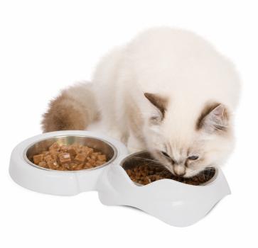 Bols de nourrissage en acier inoxydable double PIXI pour chats - Catit