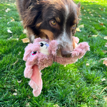 Peluche pour chien Scrumplez lapin - Kong