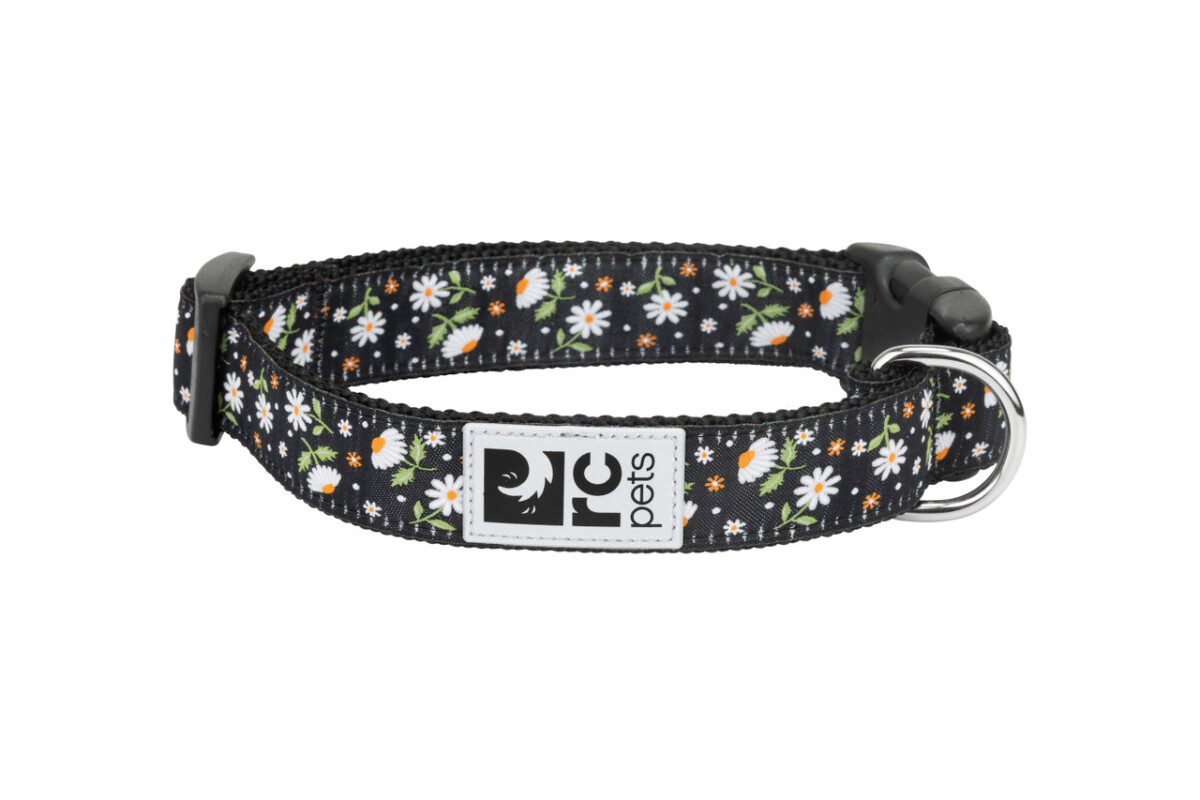 D88152 - Collier en nylon ajustable pour chiens à motifs Daisies - Rc Pets