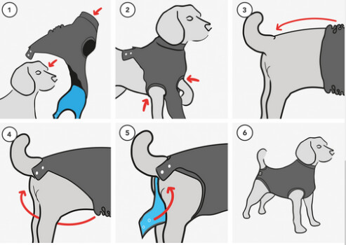 Chandail de convalescence pour chien - Suitical