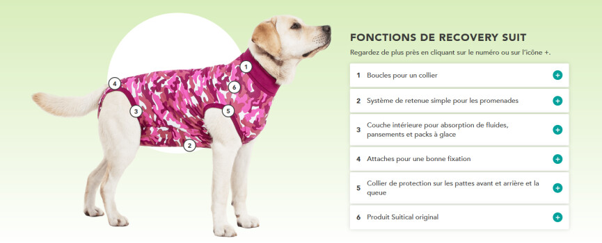 Chandail de convalescence pour chien - Suitical