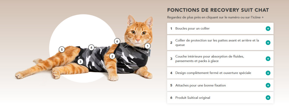 Chandail de convalescence pour chat - Suitical