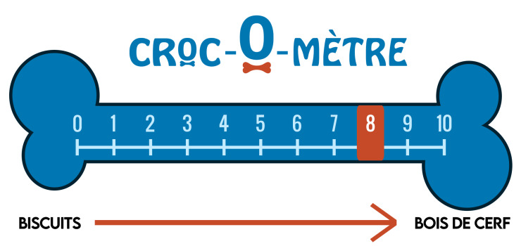 Os à moelle extra-large de première qualité - Select