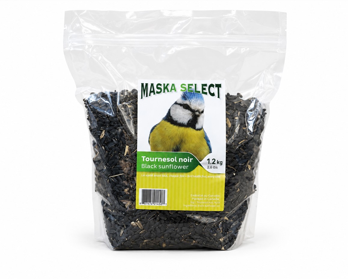Graines de tournesols noir pour oiseaux sauvages - Maska Select