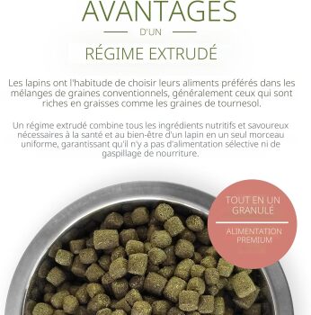Nourriture extrudée pour lapin - Living World